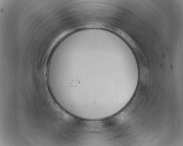 X0000062610856200512211135