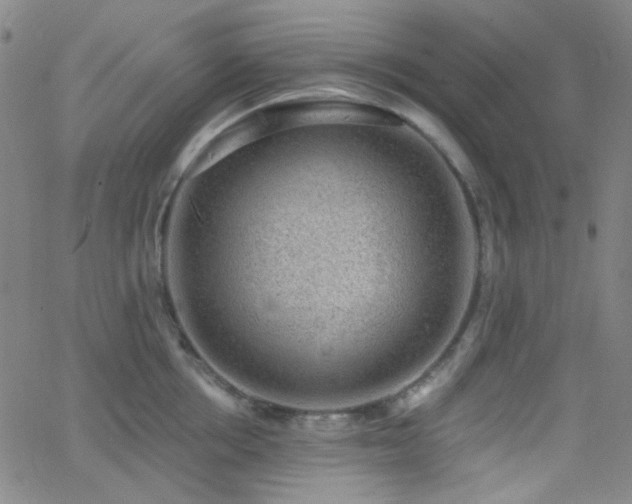 X0000062610858200512211135