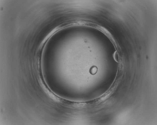 X0000062610859200512211135