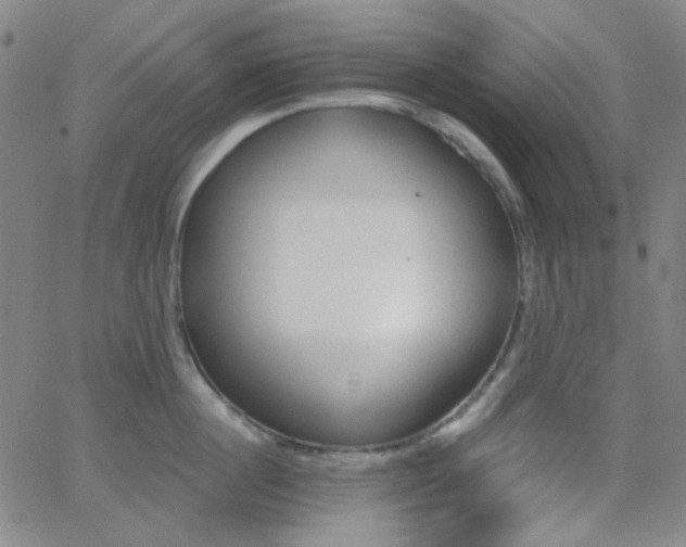 X0000062610860200512211135