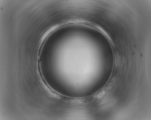 X0000062610861200512211135