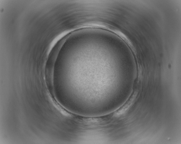 X0000062610862200512211135