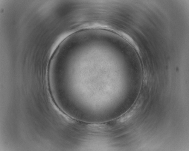 X0000062610863200512211135