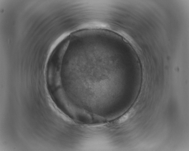 X0000062610864200512211135