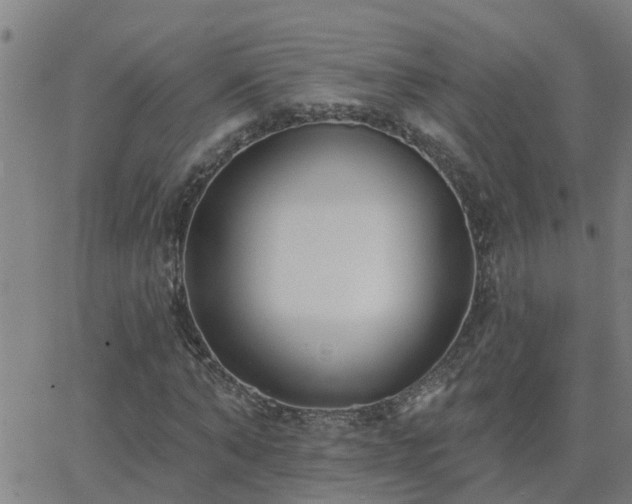 X0000062610870200512211134