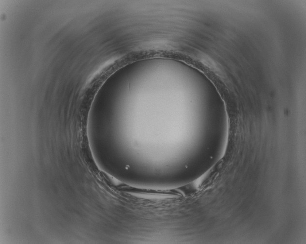 X0000062610872200512211134