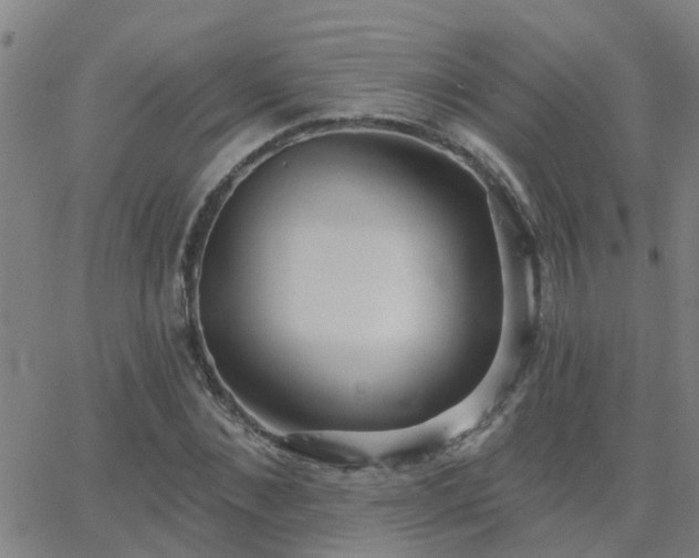 X0000062610876200512211134