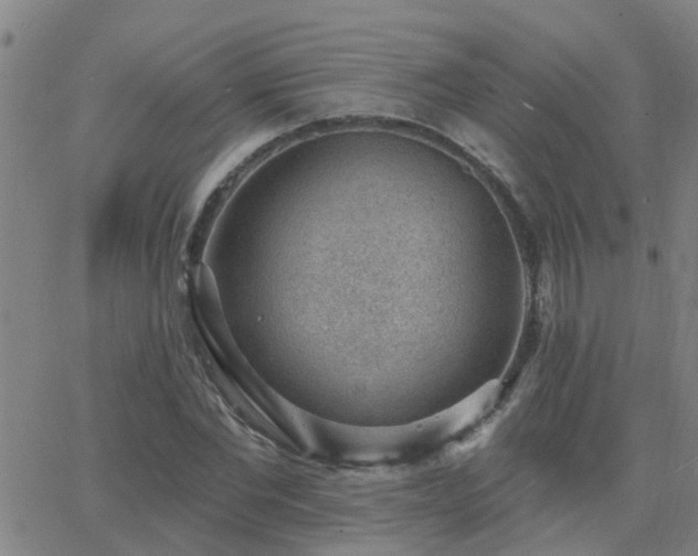 X0000062610877200512211134