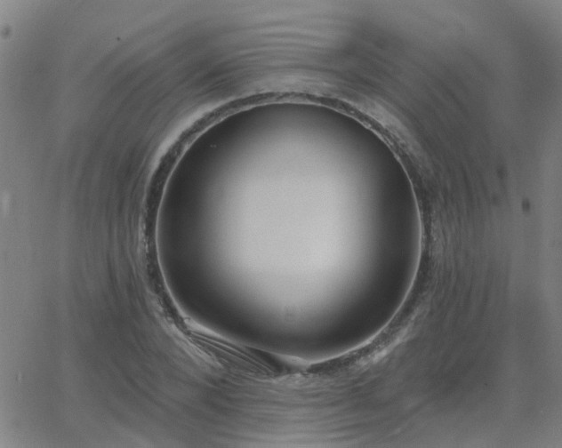 X0000062610880200512211134