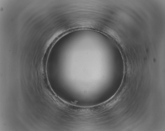 X0000062610883200512211134