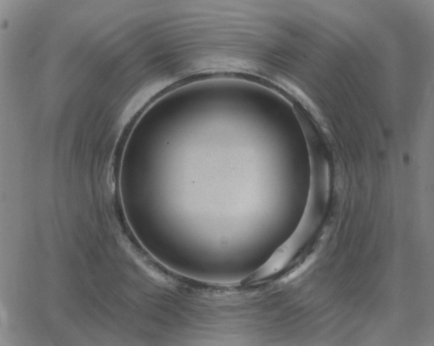 X0000062610885200512211134