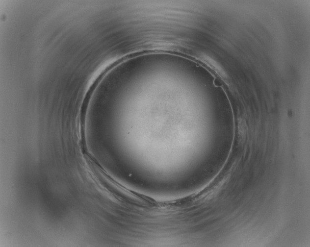 X0000062610891200512211134