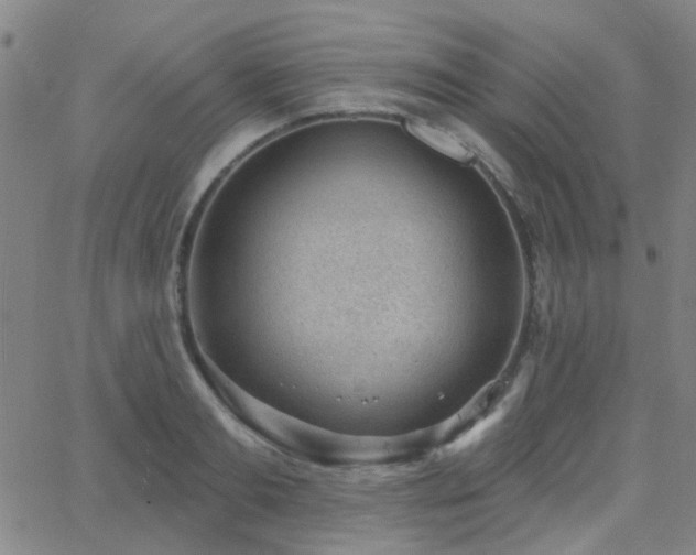 X0000062610893200512211134