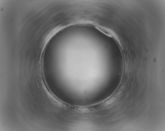 X0000062610911200512211133