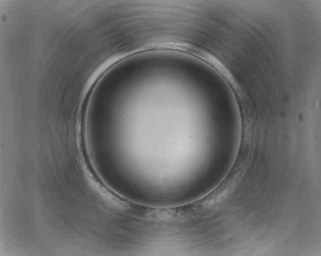 X0000062610955200512211133