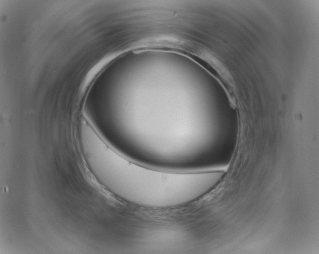 X0000062610960200512211133