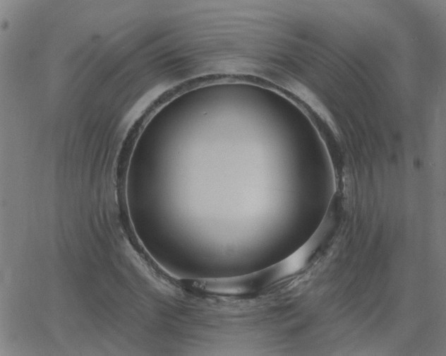 X0000062610972200512211132