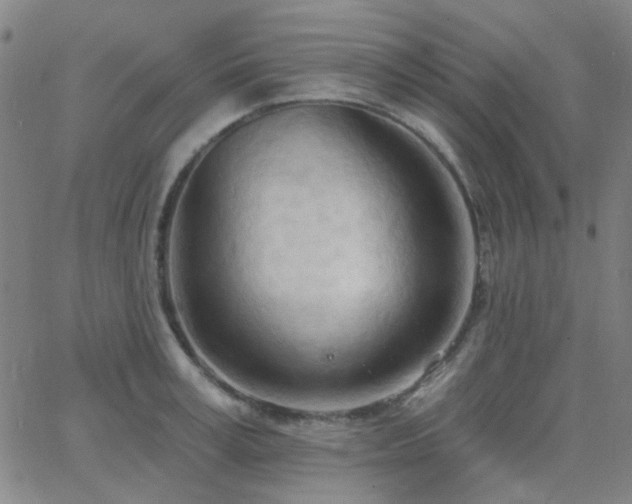 X0000062610995200512211132