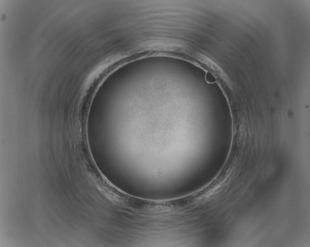 X0000062611027200512211131