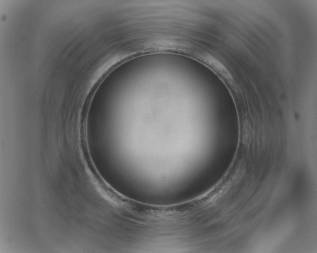 X0000062611039200512211131