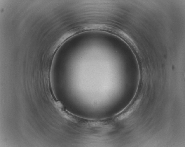 X0000062611041200512211131