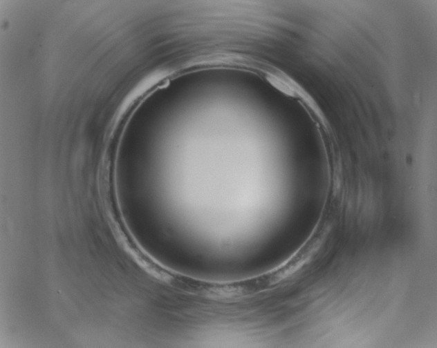 X0000062611053200512211131