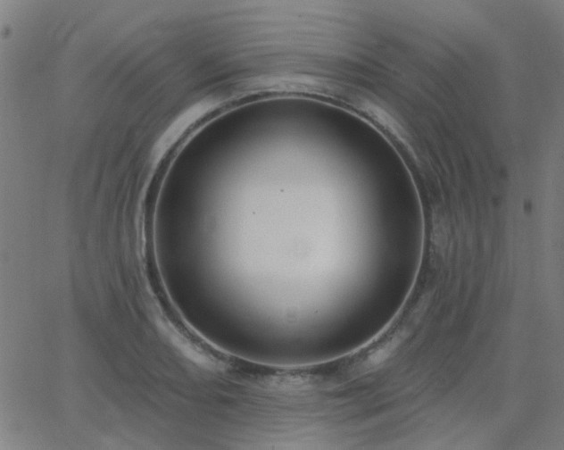 X0000062611082200512211130