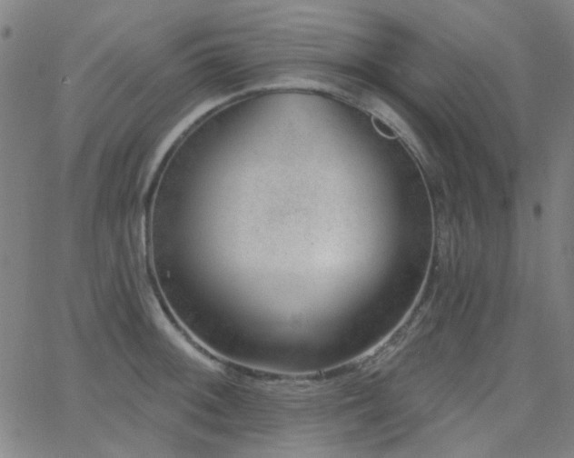 X0000062611092200512211130