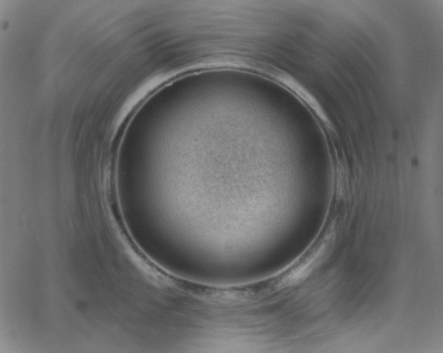 X0000062611101200512211130