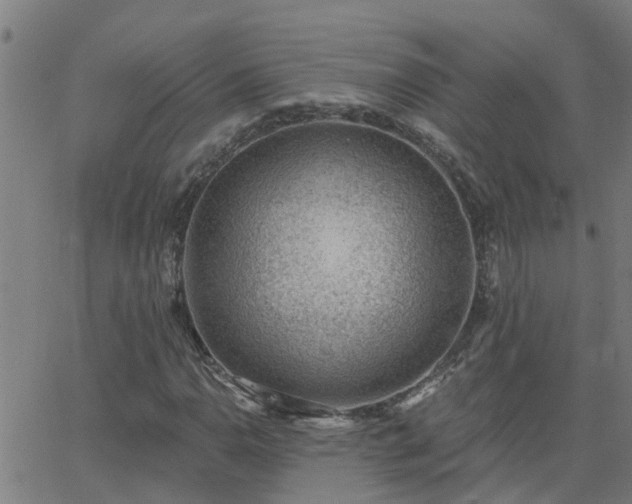 X0000062611110200512211129