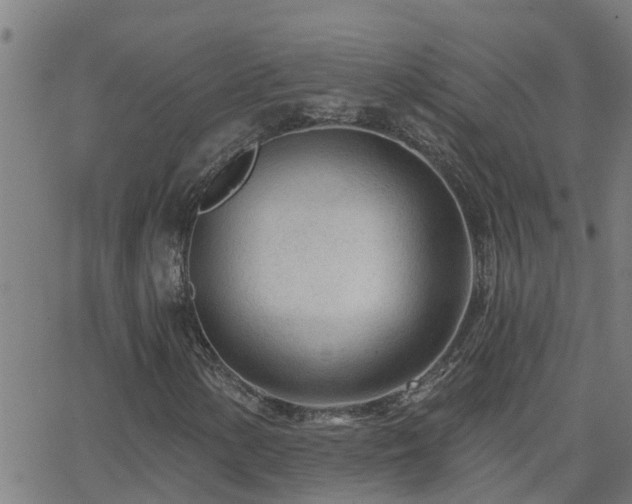 X0000062611154200512211129