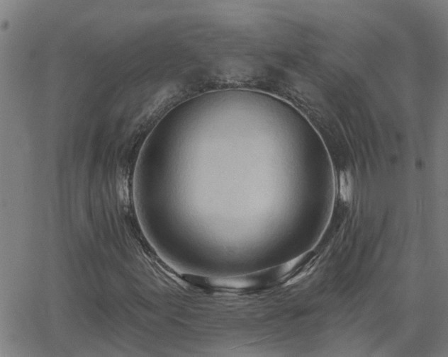 X0000062611155200512211129