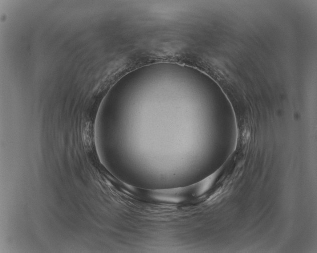 X0000062611156200512211129