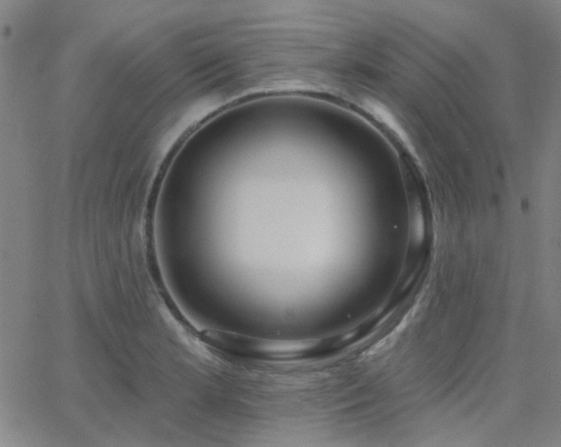X0000062611181200512211129