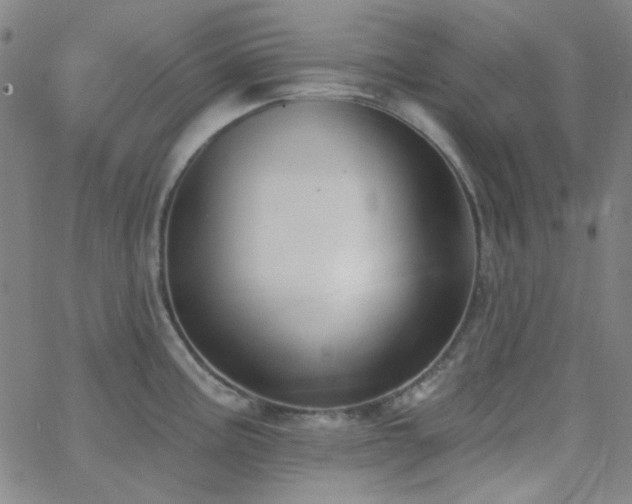 X0000062611195200512211128