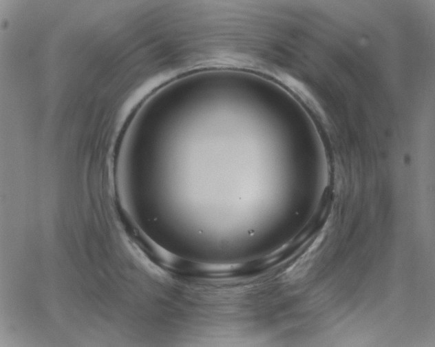 X0000062611238200512211128