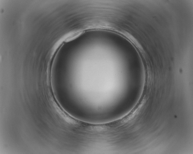 X0000062611246200512211128