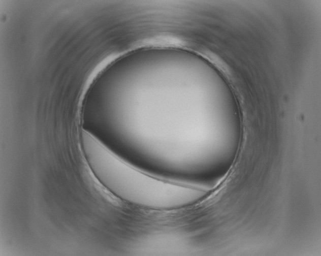 X0000062611248200512211128