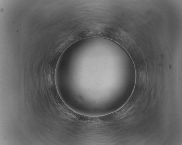 X0000062611250200512211127