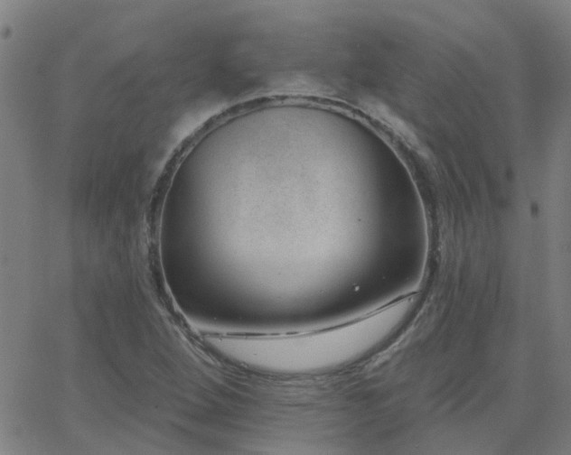 X0000062611264200512211127