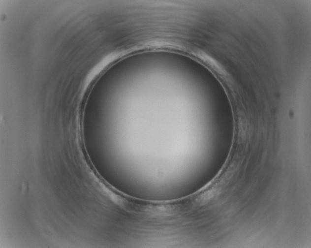 X0000062611286200512211127
