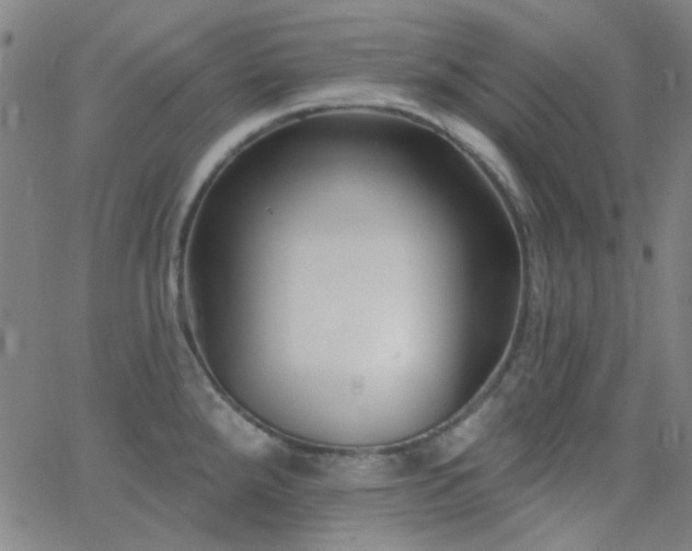 X0000062611288200512211127