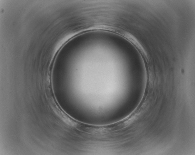 X0000062611292200512211127