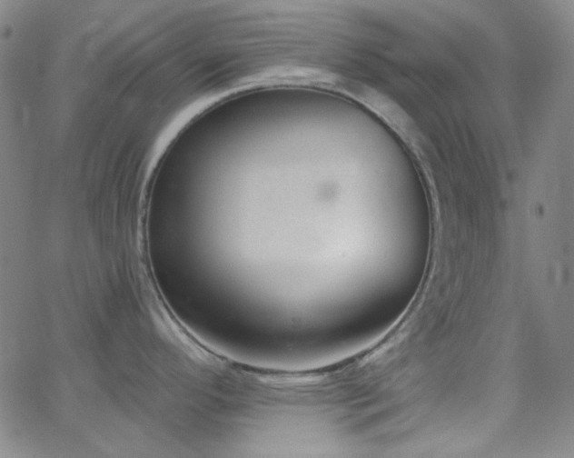 X0000062611296200512211127