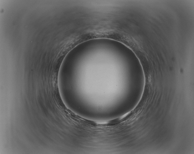 X0000062611300200512211126