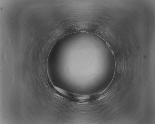 X0000062611345200512211126