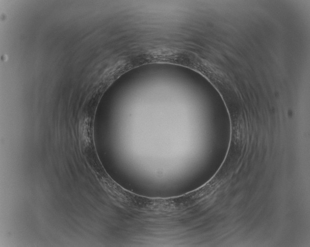 X0000062611346200512211126