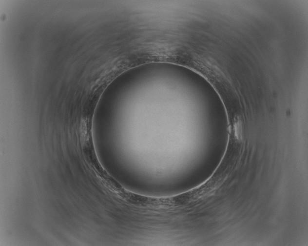X0000062611347200512211126