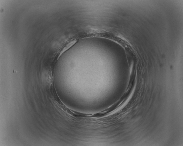 X0000062611348200512211126