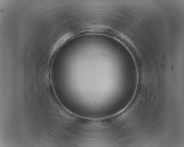 X0000062611362200512211126